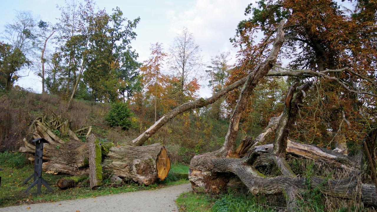 Palac Komierowo Sępólno Krajeńskie エクステリア 写真